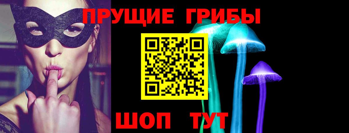Галлюциногенные грибы Psilocybe Златоуст